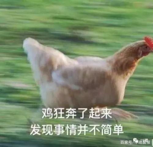 地鐵安檢不允許帶活雞，大媽接下來(lái)的行為，把地鐵的小姐姐嚇壞了